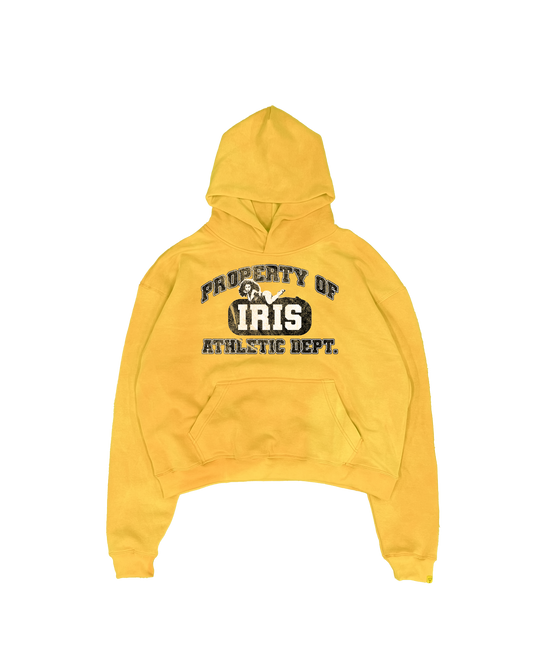 UNIVERSITY HOODIE (YELLOW)